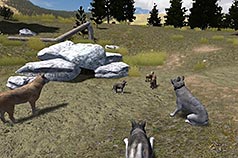 What new players on wolf quest should dogs